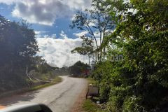 Do ảnh hưởng của dịch covid 19, cần bán mảnh đất hơn 300m2 ở mường sang, mộc châu