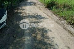 Cần bán gấp miếng đất vườn 846m2 ở hóc môn giá 1 tỷ 850