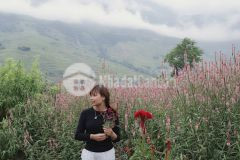 Bán nhanh homestay gần 4000m2 ở tả van, sapa giá đẹp cho nhà đầu tư