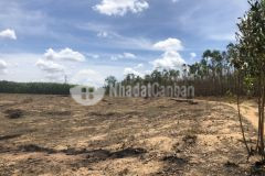 Đường số 7 tân hà hàm tân 1,8 mẫu 4,86 tỷ