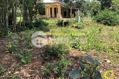 Đất giá rẻ thôn kinh môn xã trung sơn huyện gio linh0328772473