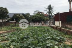 Bán cực gấp 160m đất lô góc thanh trí đg 5m vs giá cực ưu đãi.