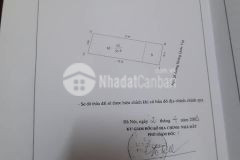 Nhà hai mặt ngõ ô tô tránh kinh doanh sầm uất 52m.
