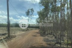 Tân hà hàm tân đường số 7 3,9 mẫu 4,2 tỷ mẫu