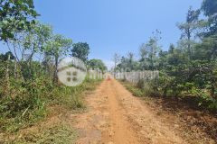 Cần bán 33 x 100m quy hoạch odt tại ea pốk.