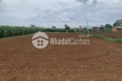 Đất vườn huyện đức trọng lâm đồng