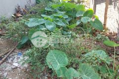 Bán đất cổ bi, 95m2, 3.4 tỷ 0902192398