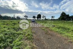 Đất comleo gần đại lộ đông tây 2 km