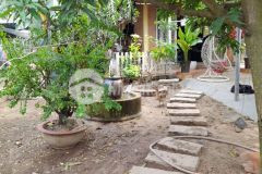 Bán đất vườn củ chi 994m2 giá 1,5 tỷ