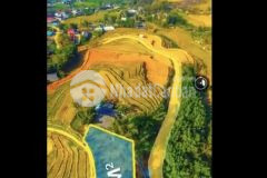 Đất nền sapa đón sóng quy hoạch cảng hàng không sapa