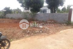 Bán lô eakeo chân dài tiềm năng