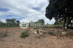 Bán đất sau chợ eakao 10x31