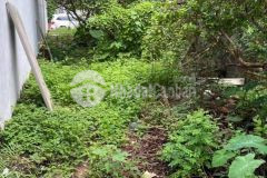 Bát khối mảnh đất siêu hót mặt ngõ ô tô tránh kinh doanh vị trí đẹp giá chỉ 52tm mảnh