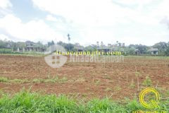 Đất nền giá rẻ an phú hải thái gio linh0328772473