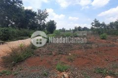 Bán lô đất góc 2 mặt tiền đường bê tông xã ea tiêu huyện cưkuin giá 750 triệu