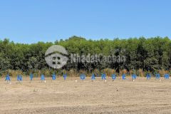 Đầu tư đất nền gần kcn đất đỏ bà rịa vũng tàu