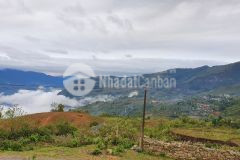 Đầu tư ở đâu cho hiêu quả du lịch 4 mùa y tý sapa 2 chỉ từ 5trm2.lh0988923435