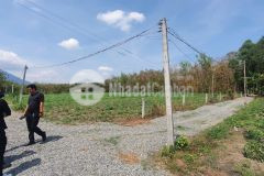 Cần tiền bán gấp đất nông nghiệp tây ninh