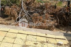 Cần bán gấp lô đất mặt tiền yên ninh ninh thuận