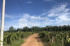 Tân xuân hàm tân 3 mẫu 22 tỷ đường nhựa ubnd xã