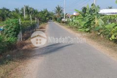 Cần tiền bán gấp đất lúa long an