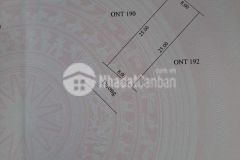 Siêu phẩm uất mậu tt sịa