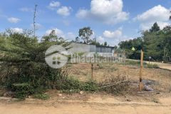 Bán lô đất đẹp ngay sau chợ trung hòa xã ea tiêu huyện cư kuin giá 550 triệu