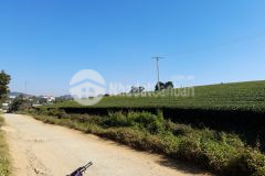 Bán đất nền nghỉ dưỡng mộc châu tk 15 tt nông trường