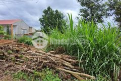 D207 bán 1 lô mặt tiền buôn kbu hòa khánh view hồ