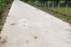 Cần tiền bán nhanh lô đất long an