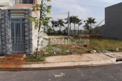 Đất thổ cư 100 đường trịnh như khuê 120m2 1 tỷ 1 shr đường nhựa 6m