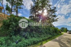 Chỉ từ 900tr đã sở hữu đất nền y tý sapa2