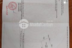 Bán gấp đất nông nghiệp long an