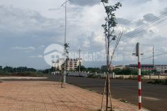 Bán lô lk1 tổ dân phố 8 phường tân an