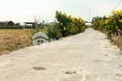 Bán đất ở cao thị mai long an