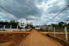 Siêu phẩm courdang fo 3 lô