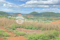 Chính chủ cần ra đi nhanh lô đất tại xã mê linh h.lâm hà. sổ hồng riêng tổng s 2795m