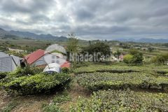 Bán 940m2 đất nền nghỉ dưỡng mộc châu, thích hợp làm mô hình trải nghiệm.