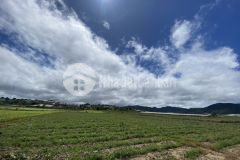 Chính chủ cần bán lô đất tại xã ka đơn tt thạnh mỹ. s 2795m2. giá 2ty5 bao sổ. lh 0833.732.741