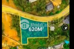 Cơ hội sở hữu mảnh đất đẹp hơn 6000m2 tại trung tâm tả phìn có vị trí đắc địa