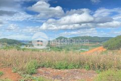 Chính chủ cần ra đi nhanh lô đất tại xã mê linh h.lâm hà. sổ hồng riêng s 517m2. lh 0833.732