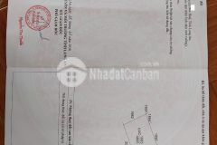 Đất long an giá cực rẻ, giá thương lượng cho anh em thiện chí