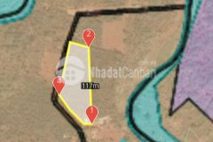 Ua đất tặng vườn sầu riêng và cây tiêu đã cho thu hoạch