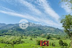 Cần bán gấp 1264m trong đó có 400m ont, biệt phủ của khu nghỉ dưỡng núi. lh 0359784940