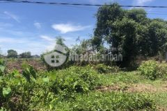 Còn nhiều lô đất bán giá rẻ tại tây ninh