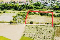 3000m2 diên đồng giáp sông giá rẻ