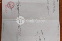 Bán đất lúa giá rẻ tại đức huệ long an