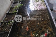 Hoàng đạo thành, phân lô ô tô, thang máy, kinh doanh, mặt tiền 6m giá 10.8 tỷ