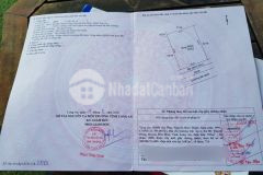 Kẹt tiền cần bán gấp miếng đất vườn ngay ubnd xã mỹ thạnh đông, đức huệ,long an.