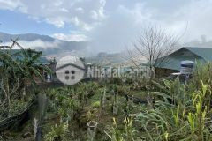 Bán đất nền sapa mặt đường tả phìn phù hợp xây homestay